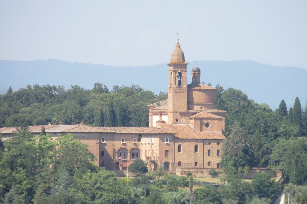 AC1302 San Francesco