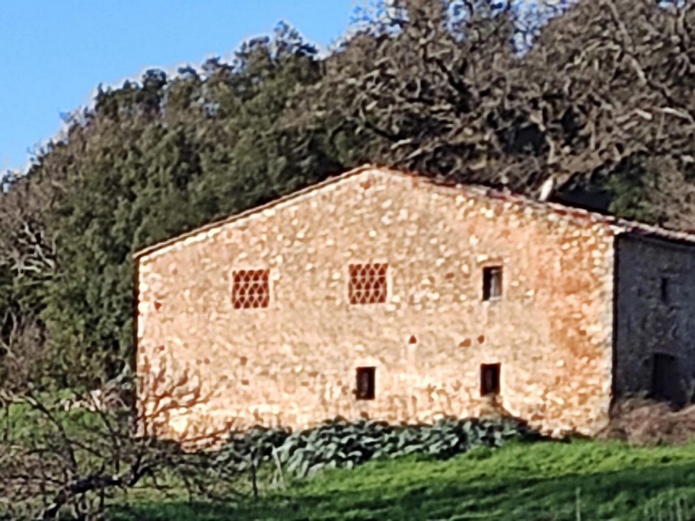 AZ1423 Casole d'Elsa